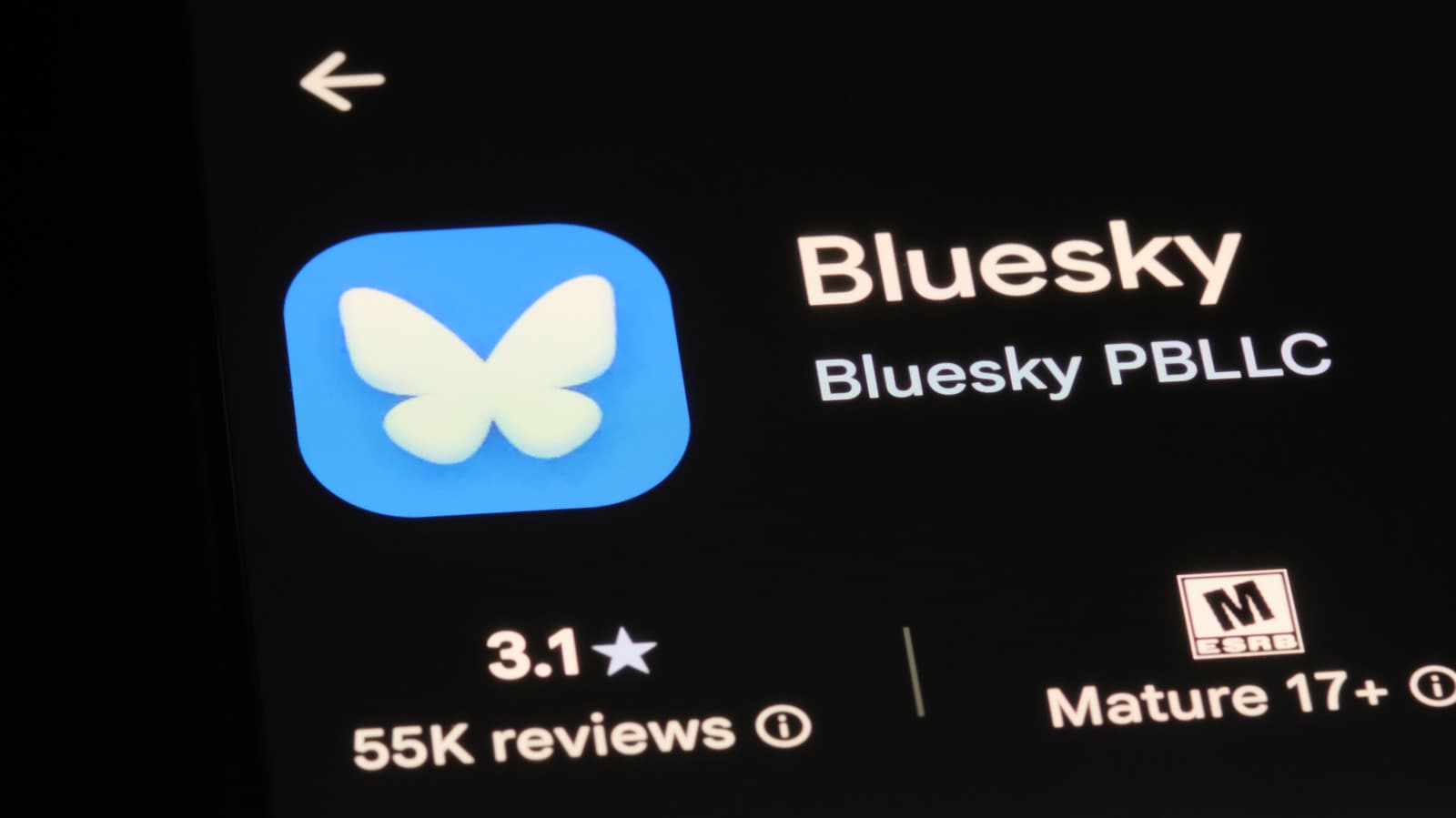 Bluesky แต่งตั้ง Toni Schneider เป็นซีอีโออย่างเป็นทางการอีกครั้ง