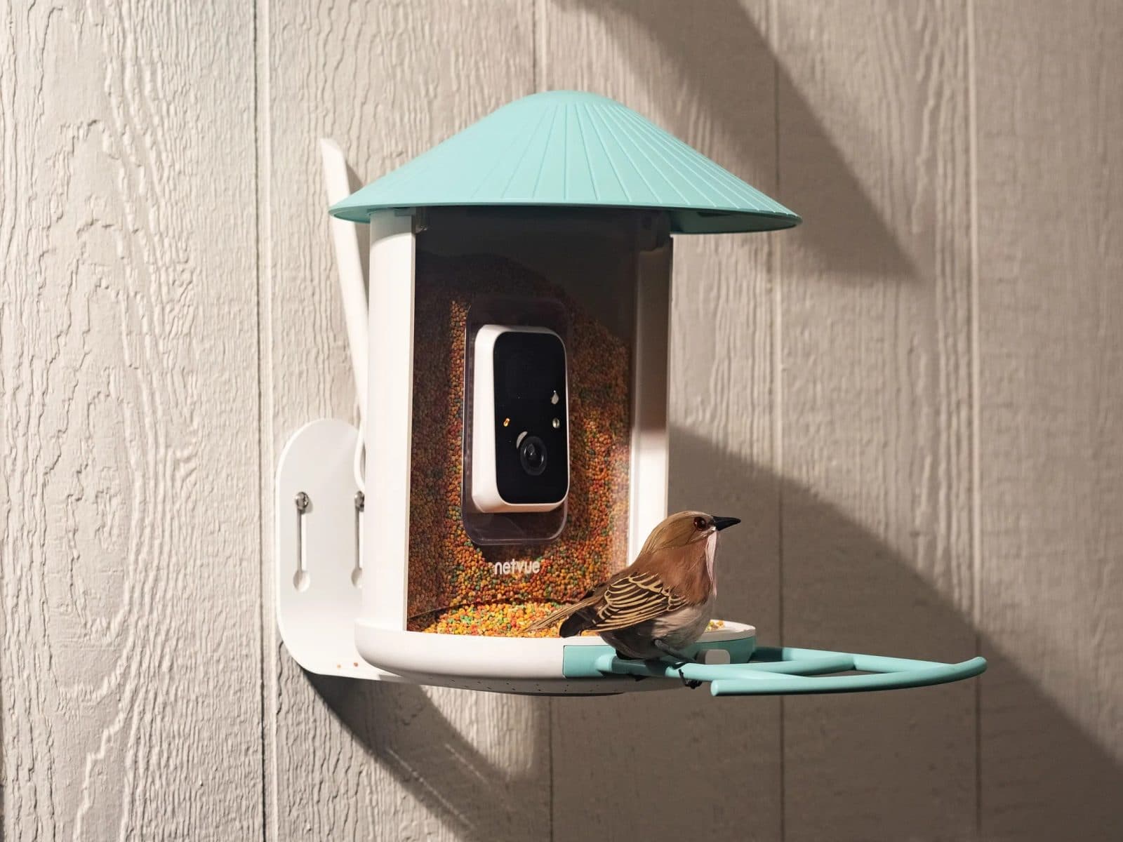 Birdfy ลดราคาคอกให้อาหารนกอัจฉริยะพลังงานแสงอาทิตย์ เหลือราคาต่ำสุดอันดับสอง