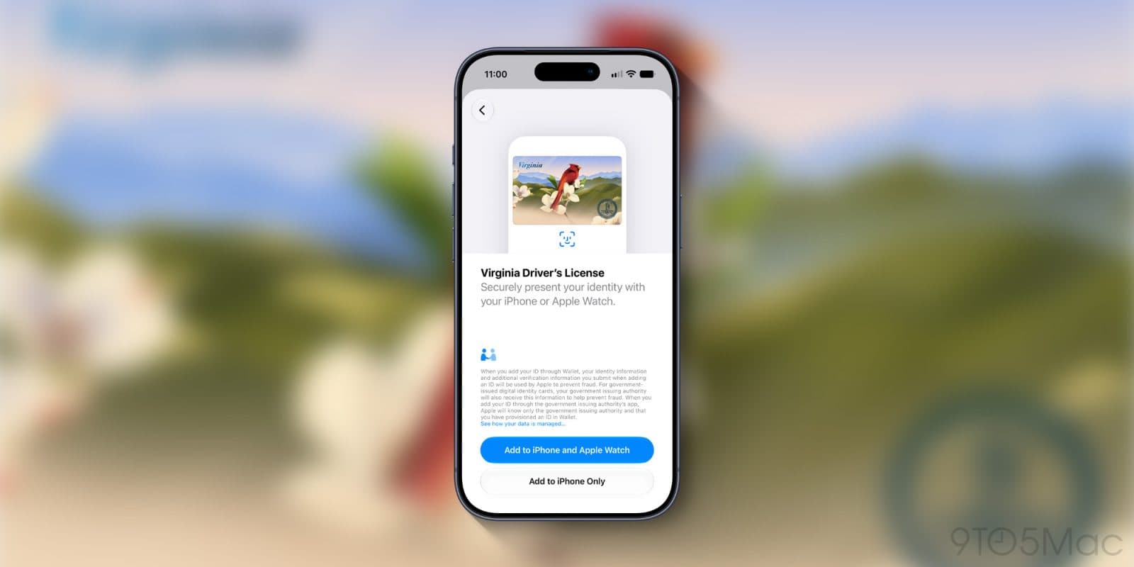 Apple Wallet เพิ่มรองรับใบขับขี่ดิจิทัลในเวอร์จิเนีย