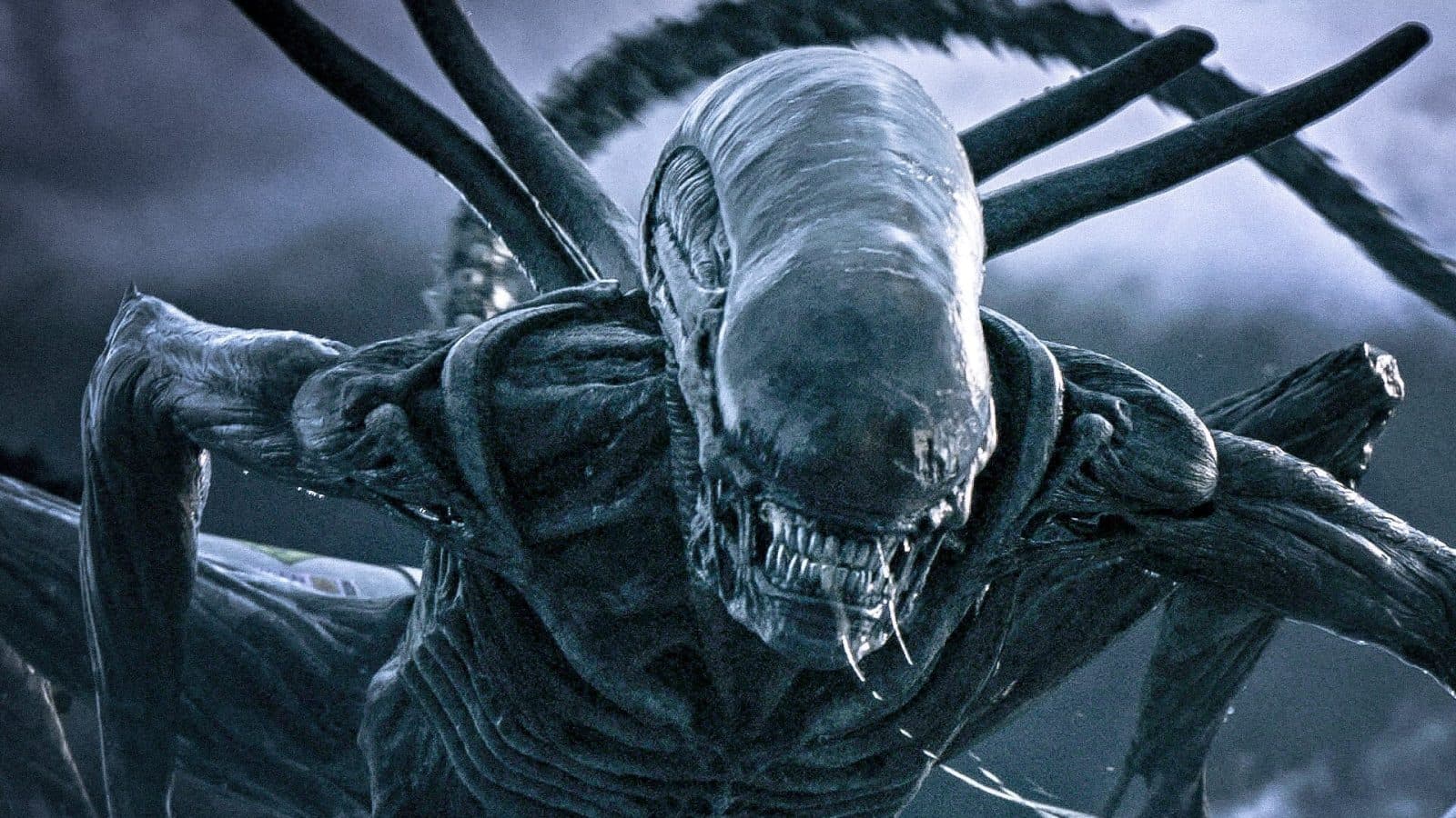 ริดลีย์ สก็อตต์เดินหน้าพัฒนา Alien: Covenant ภาคต่อ