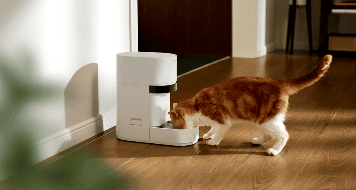 Petlibro เปิดตัวเครื่องให้อาหารแมวอัจฉริยะ Granary 2 พร้อม AI ติดตามการกิน