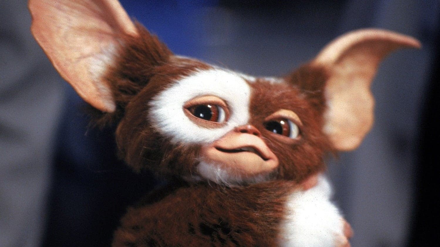 Warner Bros. เลื่อนฉาย Dynamic Duo และ Gremlins 3 ออกไปอีก