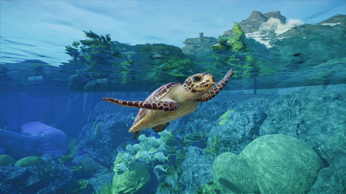 Planet Zoo 2 สัตว์สวยสมจริง แต่ระบบสร้างและจัดการยังจุกจิกเกินไป