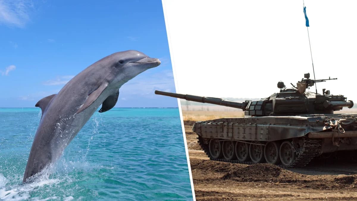 PC Gamer เปิดโหวตรอบรองชนะเลิศหา “ยูนิต RTS ที่ดีที่สุดตลอดกาล”