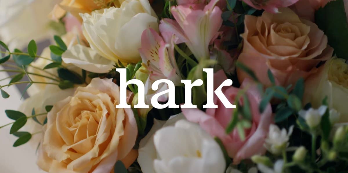 Hark เปิดตัวเอเจนต์ใช้เบราว์เซอร์สำหรับทำงานอัตโนมัติ