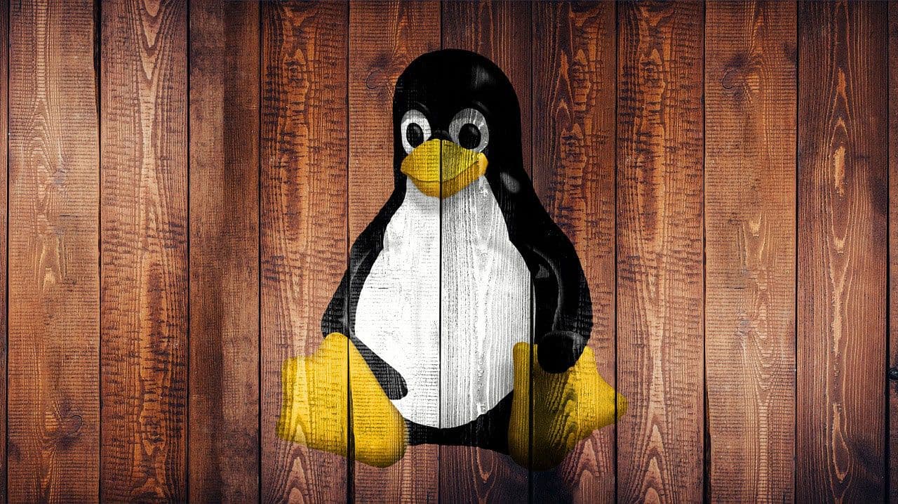 แคลิฟอร์เนียยกเว้น Linux จากกฎยืนยันอายุ แต่ SteamOS ยังไม่ชัด