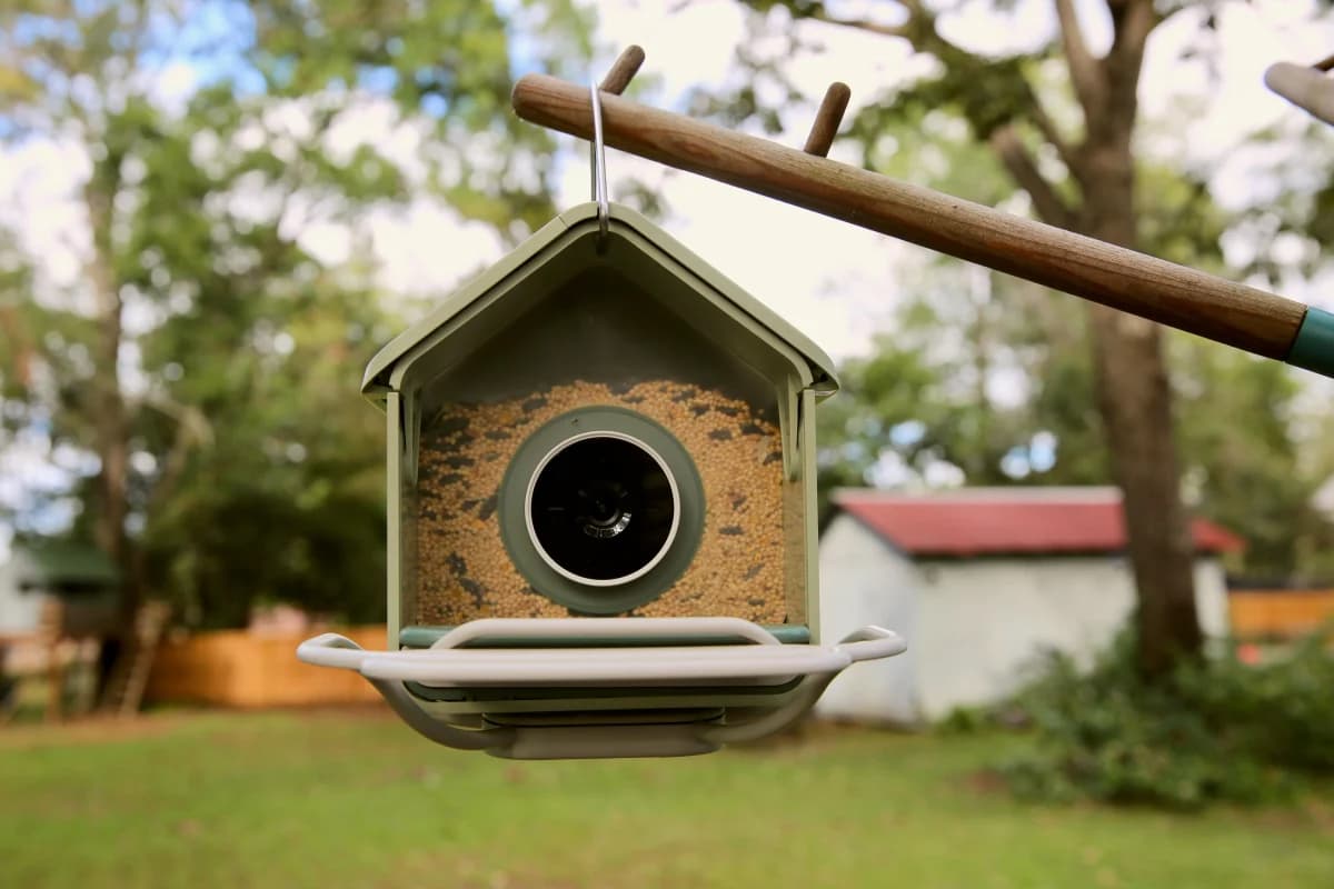 Birdbuddy เปิดตัวเครื่องให้อาหารนกอัจฉริยะรุ่น Nook ราคาย่อมเยา ชูคุ้มค่าแต่กล้องลดสเปก